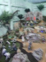 /album/fotos-da-visita-presepio-cavalinho/img-20150315-102756-jpg/