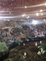 /album/fotos-da-visita-presepio-cavalinho/img-20150315-102858-jpg/