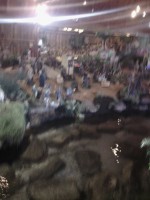 /album/fotos-da-visita-presepio-cavalinho/img-20150315-102904-jpg/