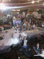 /album/fotos-da-visita-presepio-cavalinho/img-20150315-102931-jpg/