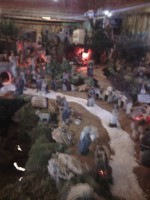 /album/fotos-da-visita-presepio-cavalinho/img-20150315-103058-jpg/