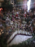 /album/fotos-da-visita-presepio-cavalinho/img-20150315-103110-jpg/
