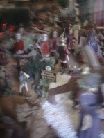 /album/fotos-da-visita-presepio-cavalinho/img-20150315-103115-jpg/