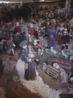 /album/fotos-da-visita-presepio-cavalinho/img-20150315-103121-jpg/