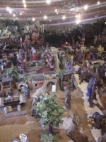 /album/fotos-da-visita-presepio-cavalinho/img-20150315-103129-jpg/