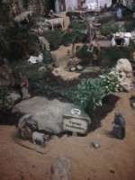 /album/fotos-da-visita-presepio-cavalinho/img-20150315-102643-jpg/