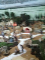 /album/fotos-da-visita-presepio-cavalinho/img-20150315-102728-jpg/