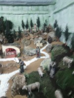 /album/fotos-da-visita-presepio-cavalinho/img-20150315-102734-jpg/